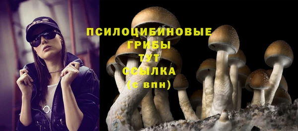 ГАЛЛЮЦИНОГЕННЫЕ ГРИБЫ Нязепетровск