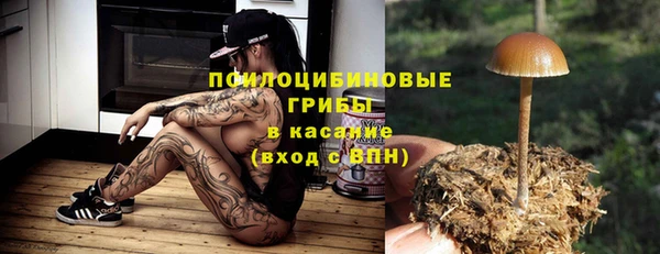 mdpv Няндома