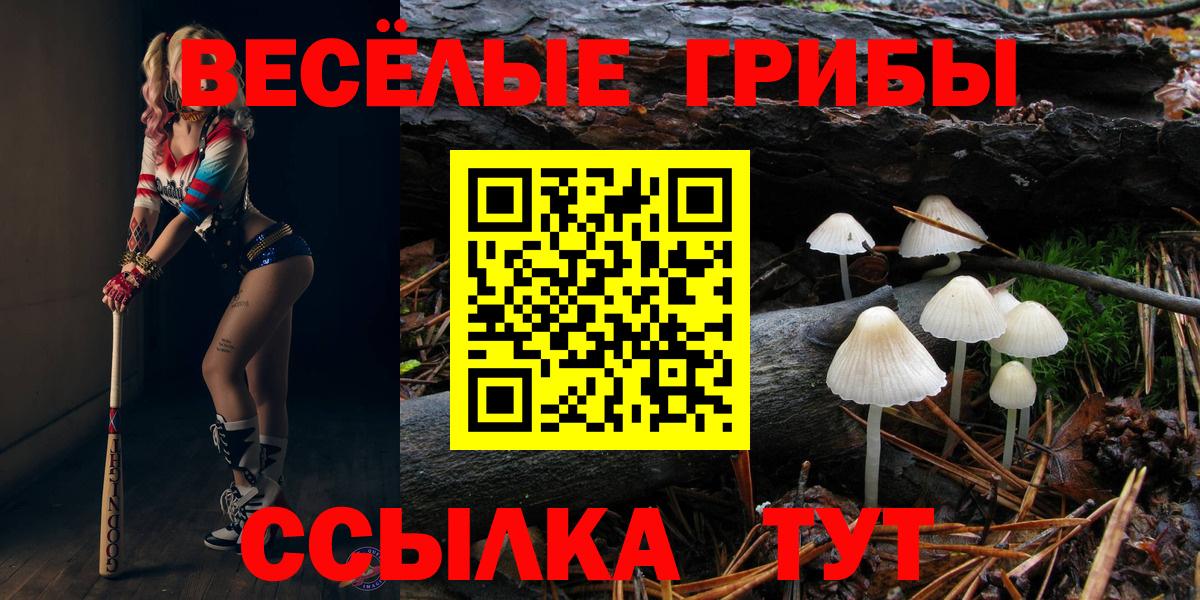 Псилоцибиновые грибы Psilocybe  Луховицы 
