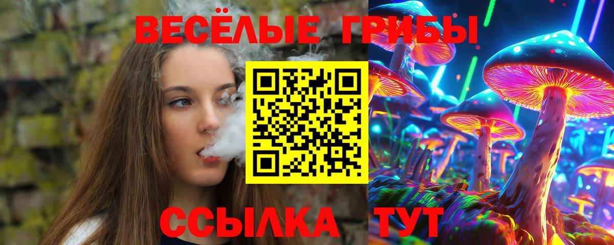 Галлюциногенные грибы MAGIC MUSHROOMS Луховицы
