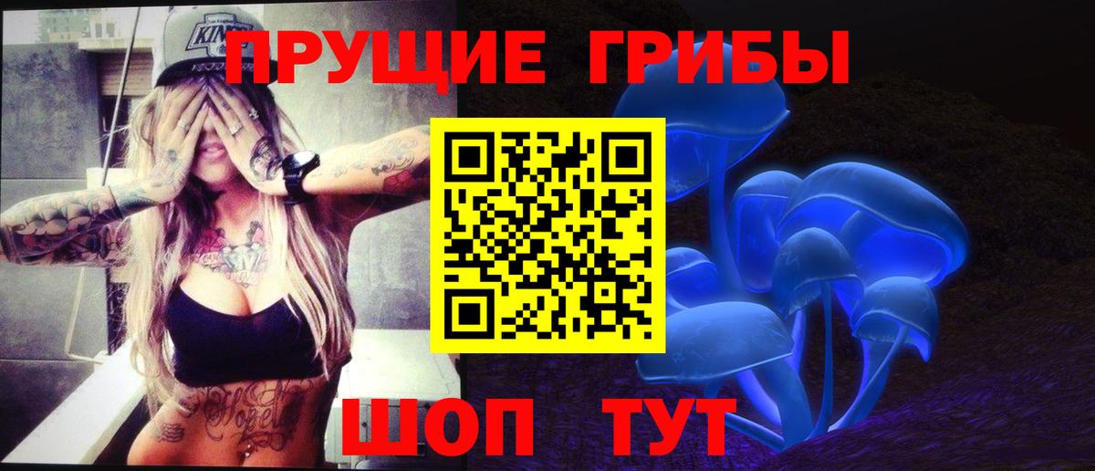 Галлюциногенные грибы Cubensis Луховицы