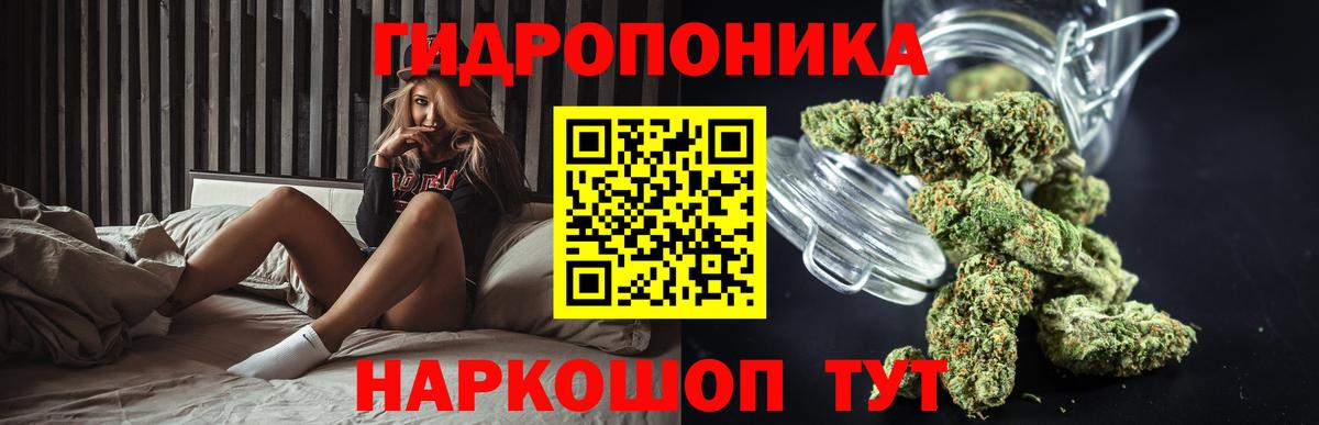 Канабис план  Каннабис OG Kush  Луховицы  Марихуана марихуана 